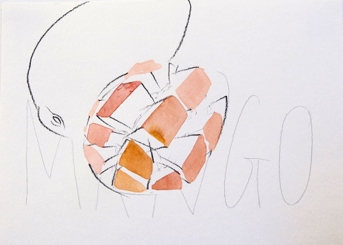 【サイン入】『Rikako Kawauchi: Works 2014-2022』 Rikako Kawauchi – Van der Grinten Galerie