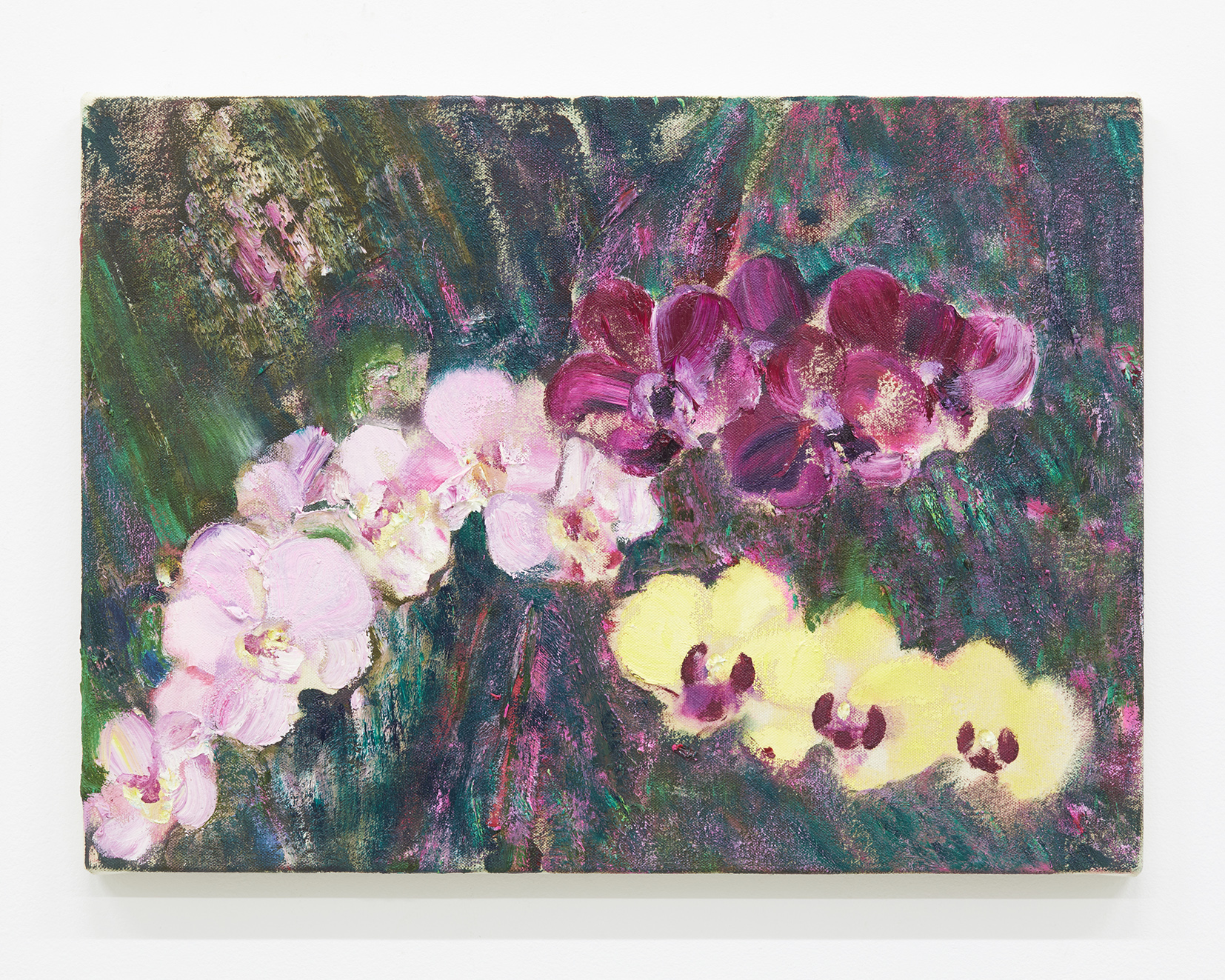 Orchids by Midori Sato | Dear Art